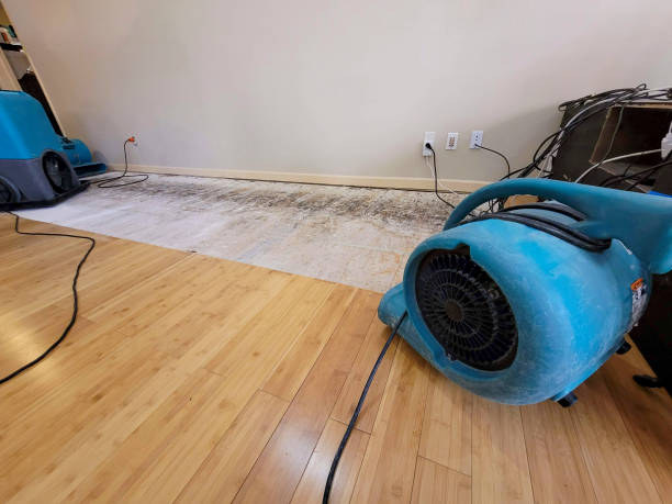 Professional Emergency Water Damage technician working in Cross River, NY